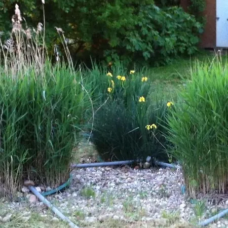 Neuf & Ecologique A La Campagne Marzens