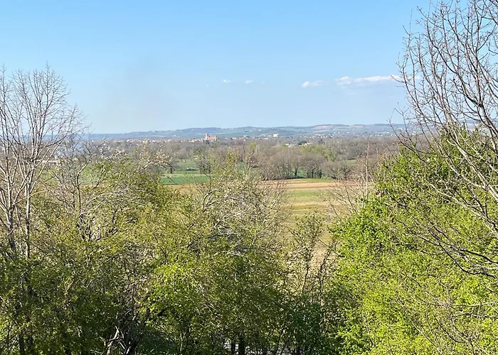 Apartment Neuf & Ecologique A La Campagne Marzens