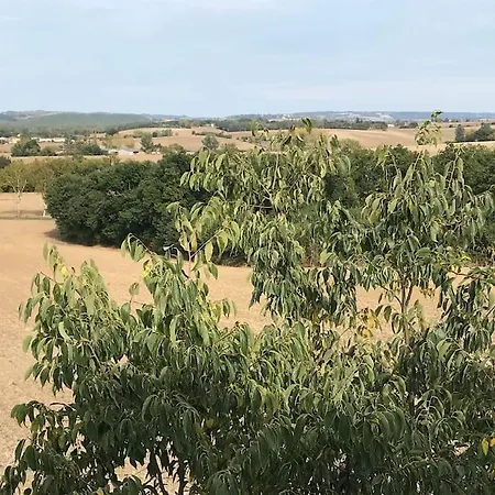 아파트 Neuf & Ecologique A La Campagne Marzens